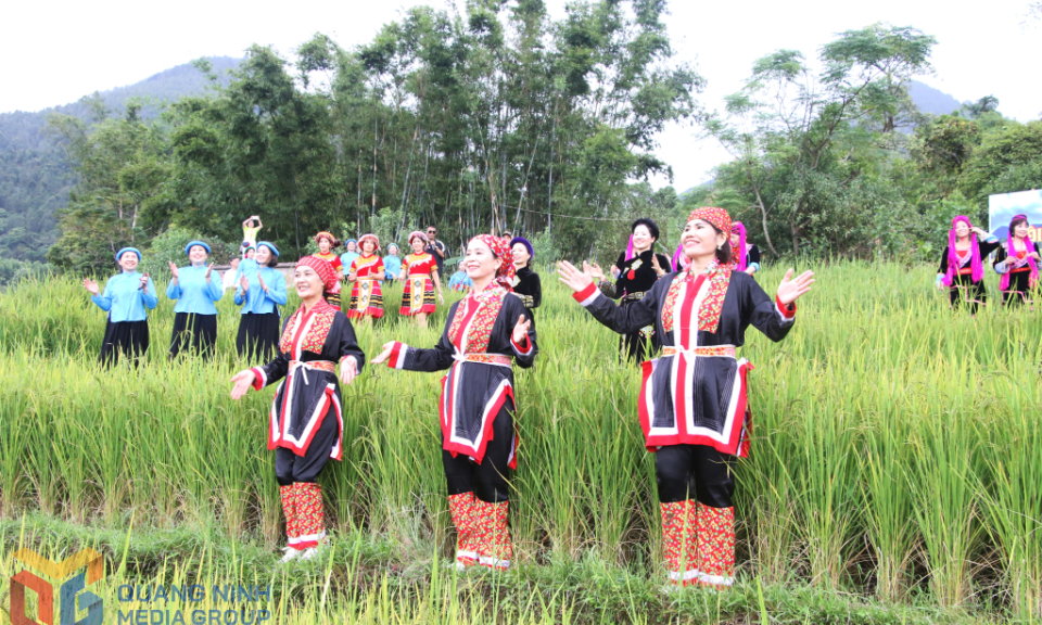 Rộn ràng Bình Liêu mùa “lúa hát”