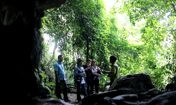 Parklife: Cúc Phương one of Asia's top national parks