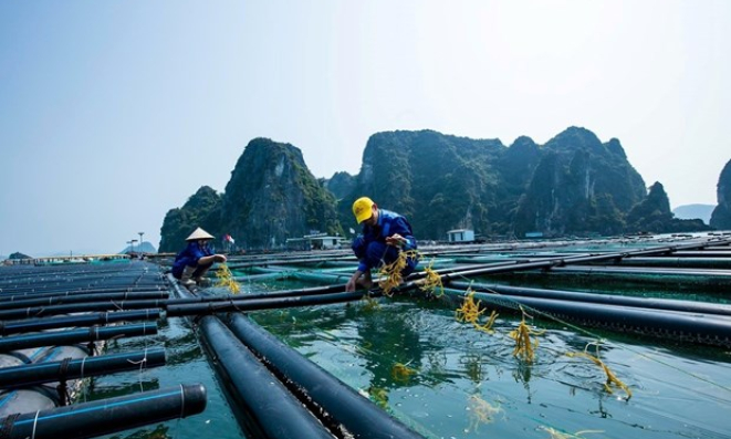 Bản tin Quảng Ninh ngày 24/10/2023