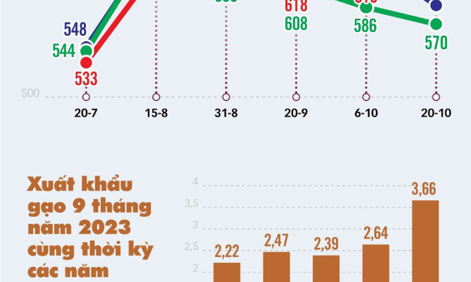 Giá gạo xuất khẩu loại 5% tấm Việt Nam lại lập đỉnh
