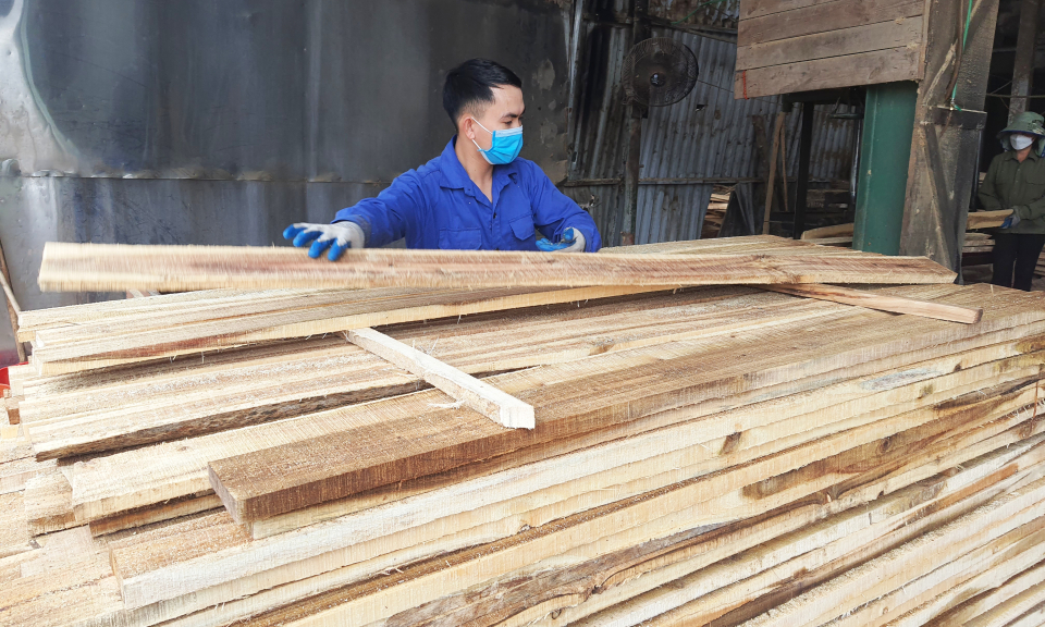 Đẩy nhanh việc cấp chứng chỉ rừng
