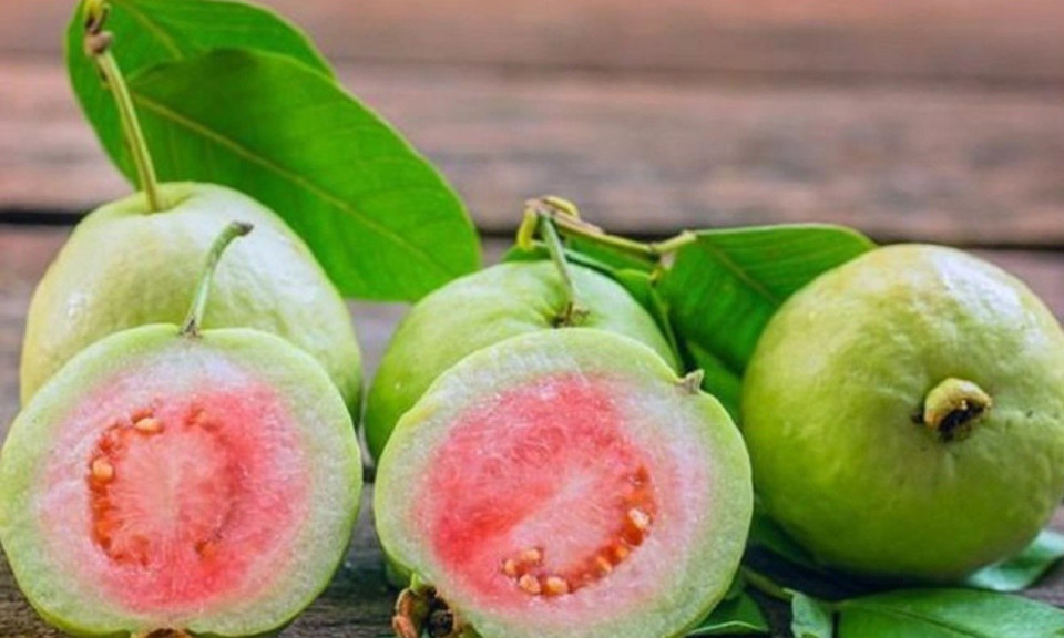 Tác dụng từ ổi để kiểm soát đường trong máu