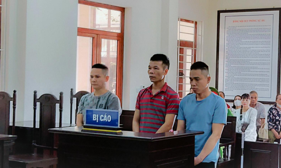 282 tháng tù giam cho những kẻ “Tổ chức sử dụng trái phép ma túy”