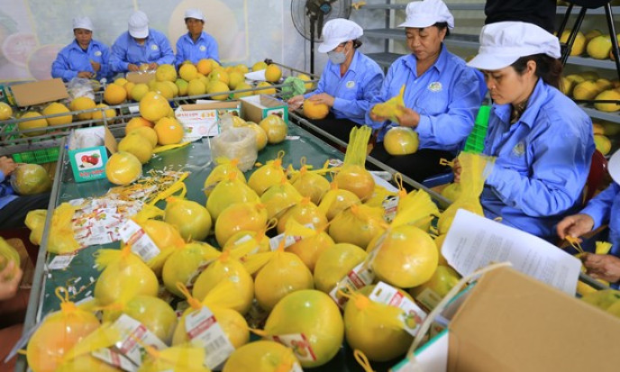 Xuất khẩu nông, lâm, thủy sản ước đạt hơn 43 tỷ USD