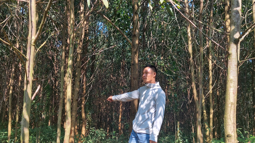 Anh Hoàng Văn Sắm, thôn 8, xã Quảng Phong cho biết: Thửa đất này bố mẹ anh trồng rừng từ năm 2006 đến nay không tranh chấp với ai nhưng chỉ khi lên UBND xã đề nghị cấp GCNQSDĐ mới được biết là trùng với đất đã cấp GCNQSDĐ cho ông Hà Duy Khiên 