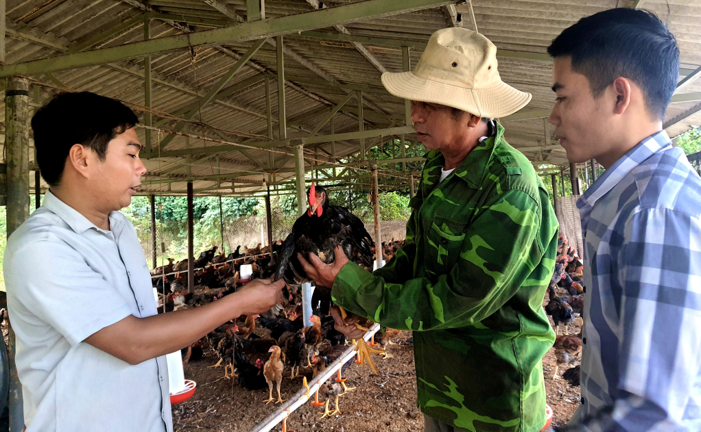 Mô hình nuôi gà an toàn sinh học của nông dân xã Hồng Thái Tây, TX Đông Triều.