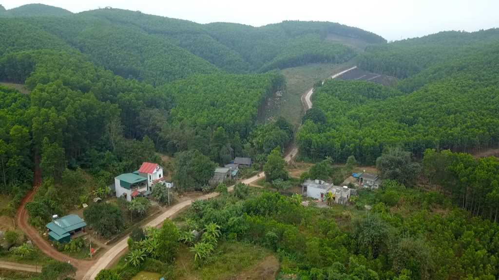 Hạ tầng giao thông được đầu tư giúp người dân xã Lương Mông (huyện Ba Chẽ) phát triển kinh tế rừng. Ảnh: Minh Yến