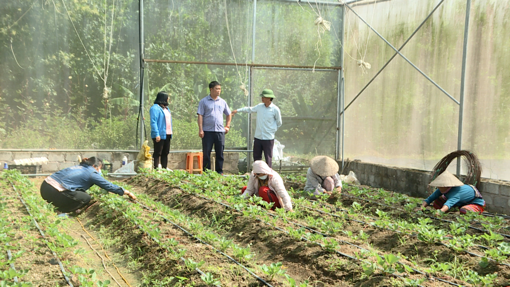 Mô hình trồng cây Dâu Tây của người dân xã Lục Hồn cho doanh thu 500 triệu đồng