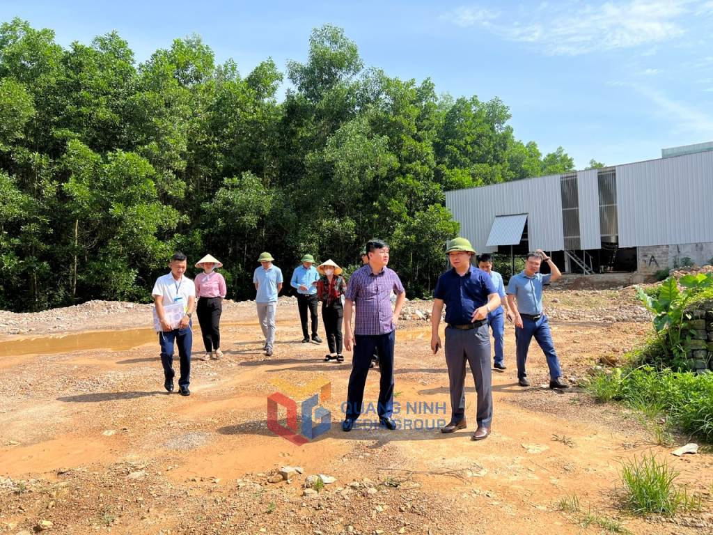 Đoàn kiểm tra của Ban Thường vụ Thành ủy Hạ Long kiểm tra vị trí san gạt trái phép tại khu 6, phường Hà Khẩu vào tháng 9/2023. Ảnh: Hoàng Nga