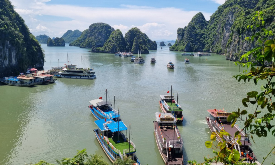 Kết nối du lịch Vịnh Hạ Long - Quần đảo Cát Bà: Làm sao hài hoà lợi ích?