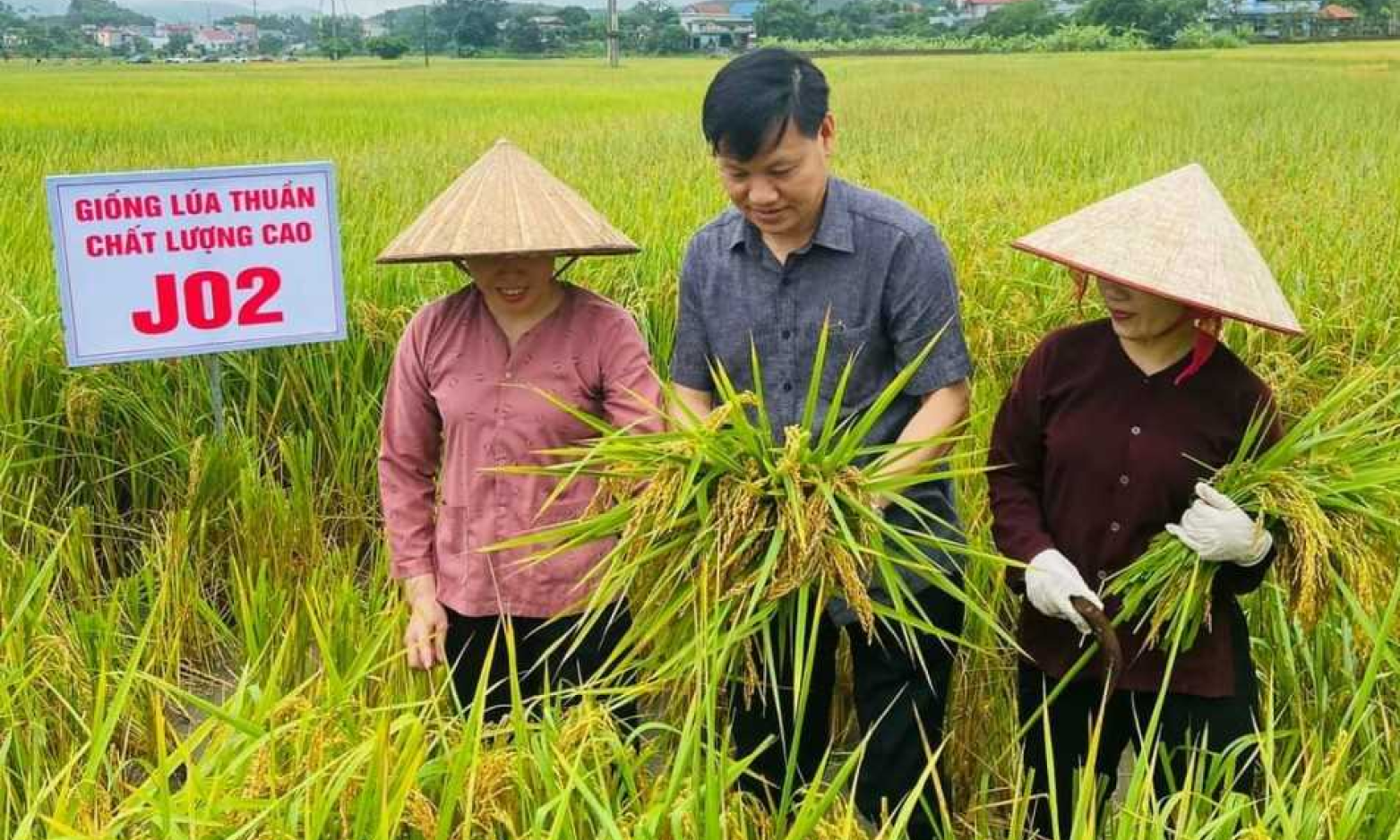 Đổi mới tư duy để phát triển nông nghiệp bền vững