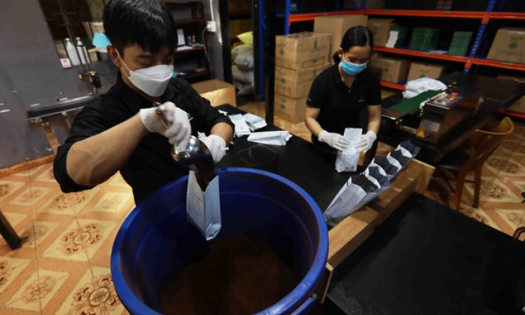 Cơ hội xuất khẩu chính ngạch cà phê sang Trung Quốc