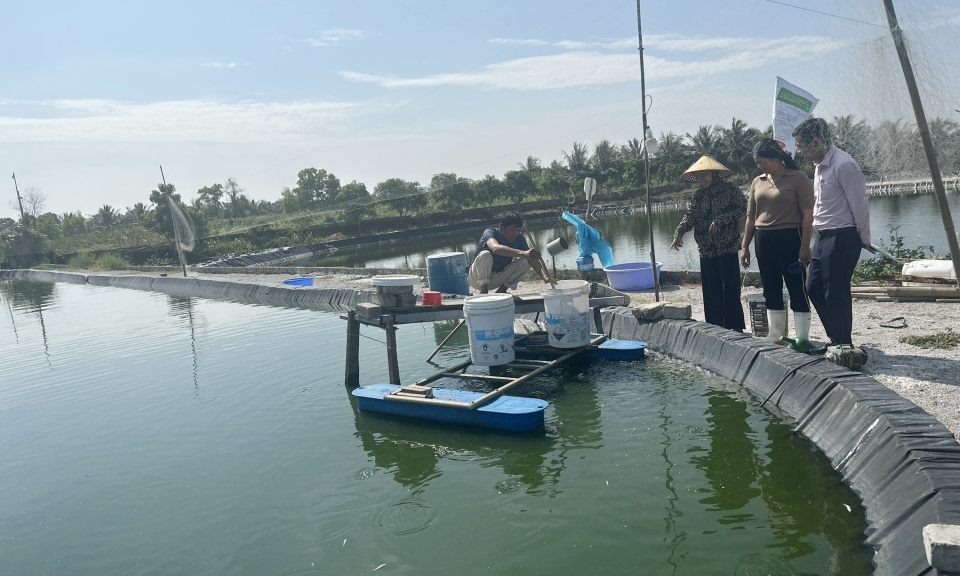 Trợ lực mạnh mẽ để phục hồi và phát triển kinh tế