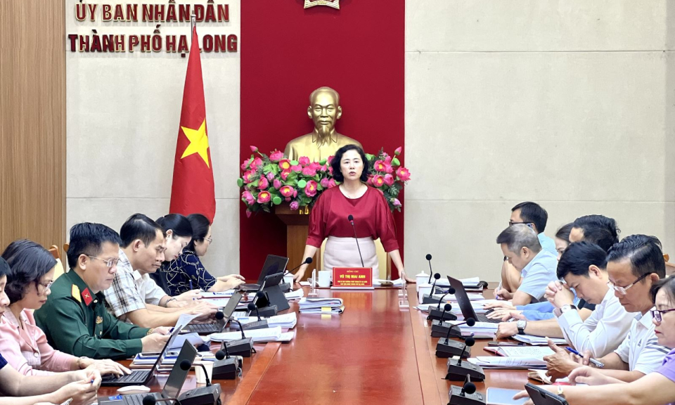 Hoạt động giám sát của HĐND cấp huyện ngày càng trọng tâm, hiệu quả