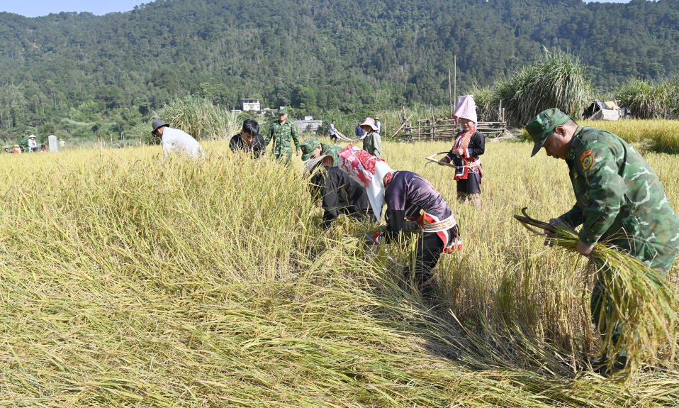 Bản tin Quảng Ninh ngày 04/11/2023
