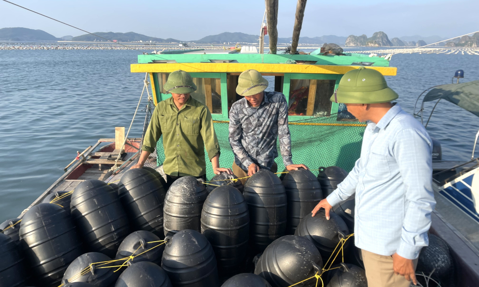Vân Đồn: Nâng cao giá trị sản phẩm thủy sản
