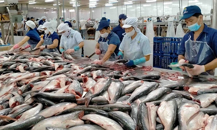 Sau khi sụt giảm sâu, xuất nhập khẩu lấy lại đà tăng tốc