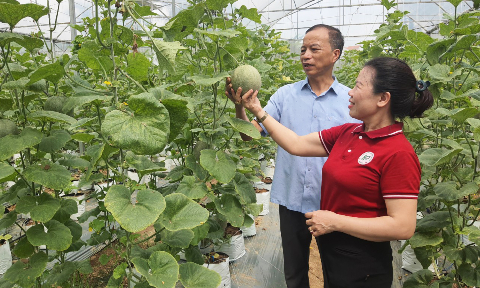 Xếp hạng các địa phương về công tác quản lý ATTP