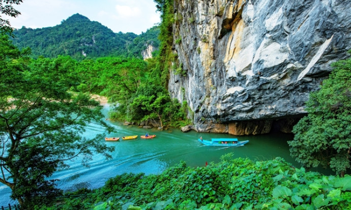 Phong Nha – Kẻ Bàng National Park’s staff dedicated to preserving rare plant species