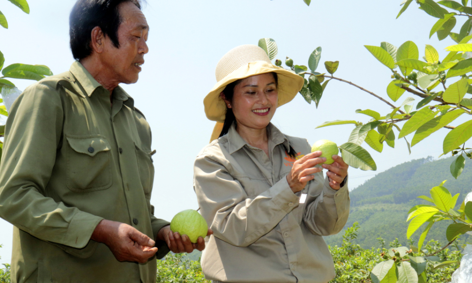 Xây dựng thương hiệu nông sản Hạ Long
