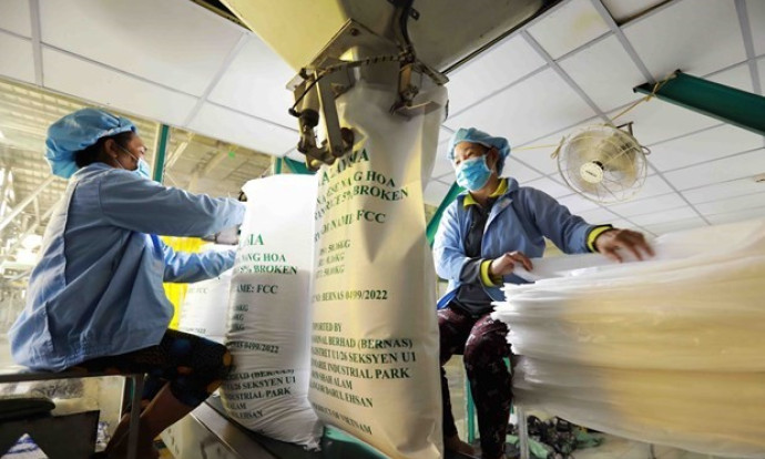 Vietnam promotes rice exports to China 