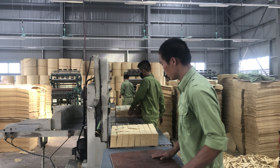 Cai nghiện và quản lý sau cai nghiện