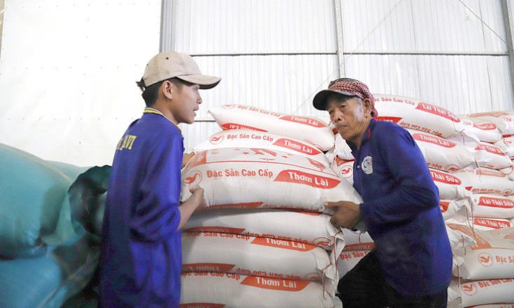 Đủ gạo tiêu thụ trong nước và xuất khẩu