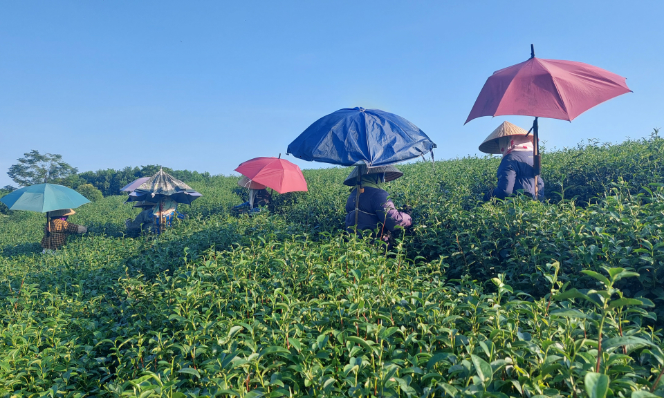 Xây dựng huyện nông thôn mới nâng cao