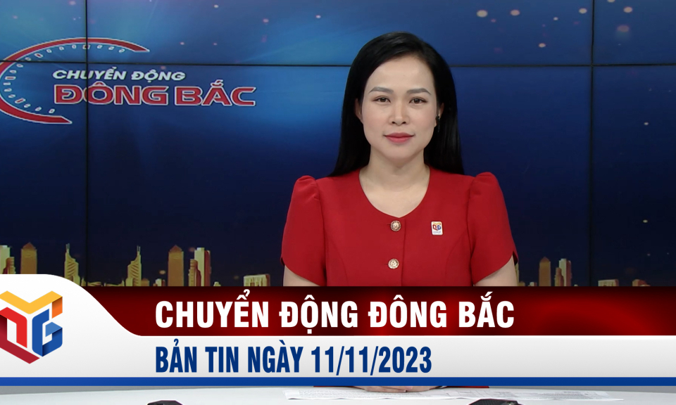 Chuyển động Đông Bắc ngày 11/11/2023