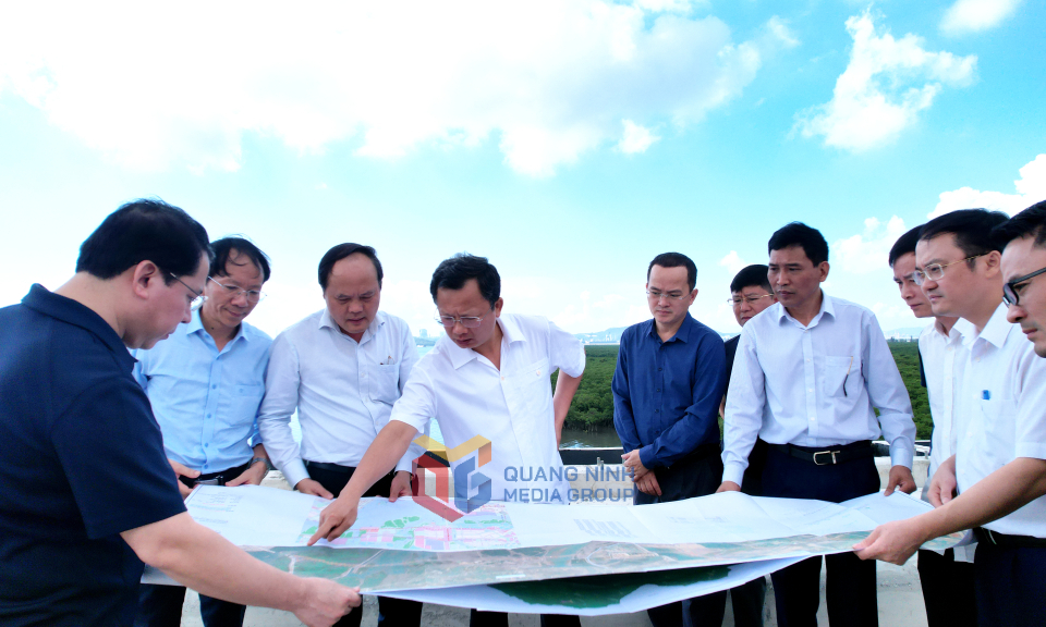 Nghiên cứu đầu tư dự án đường nối cầu Tình Yêu với cầu Cửa Lục 3