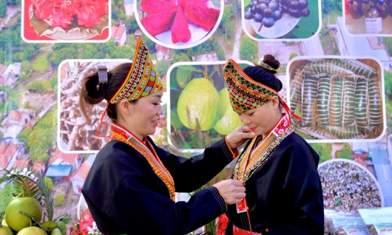 Bản tin vùng Đông Bắc ngày 12/11/2023