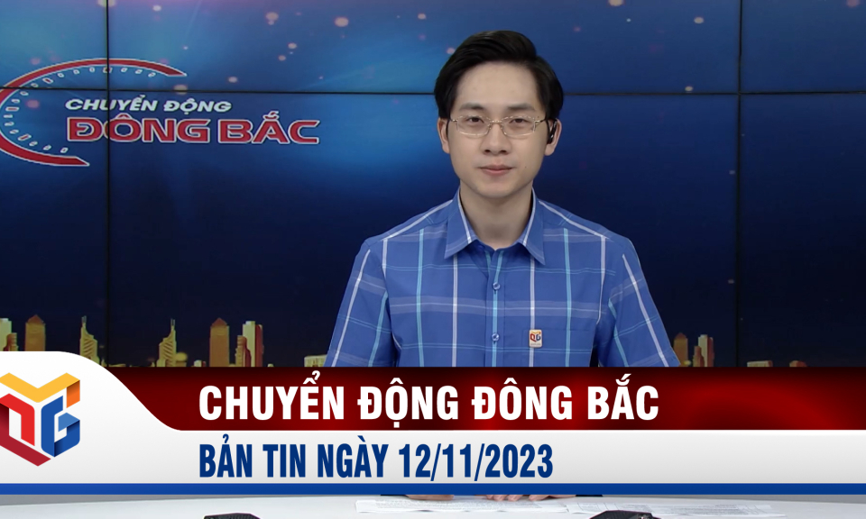 Chuyển động Đông Bắc ngày 12/11/2023