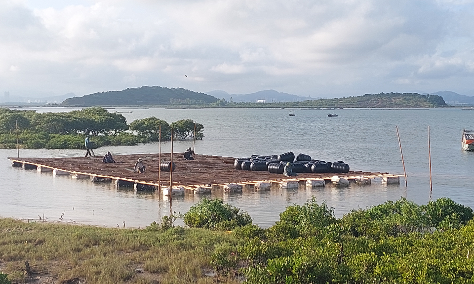 Giữ màu xanh của biển