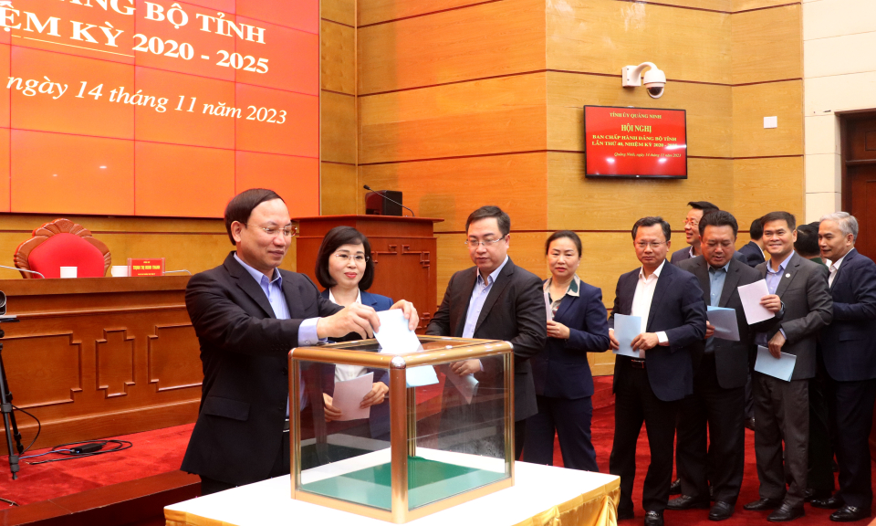 Giới thiệu nhân sự kiện toàn chức danh Phó Bí thư Tỉnh ủy, Chủ tịch UBND tỉnh và Trưởng Đoàn ĐBQH tỉnh