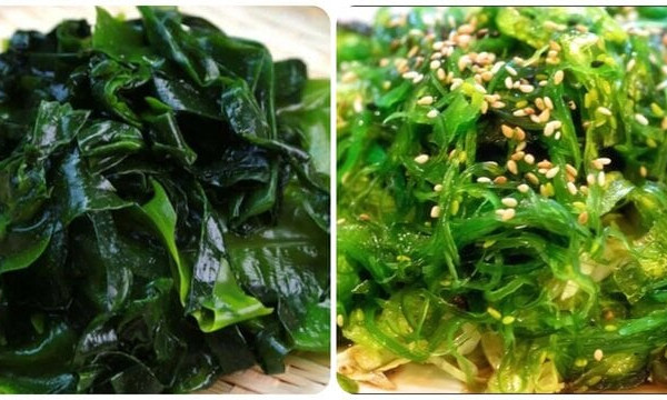 Công dụng của rong biển ít người biết