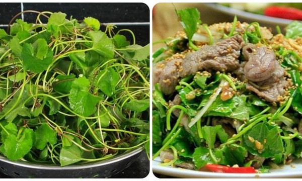 Công dụng của rau má với sức khoẻ ít người biết
