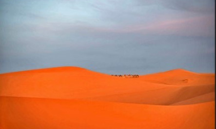 Vietnamese photographer wins five prizes in Australia's contest