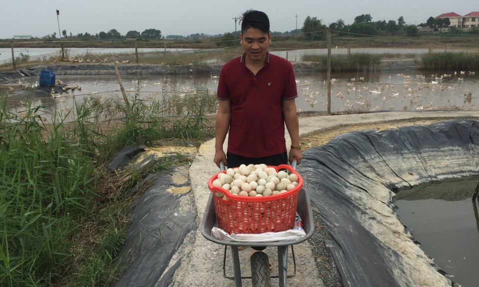 Người phát triển thương hiệu trứng vịt biển Đồng Rui