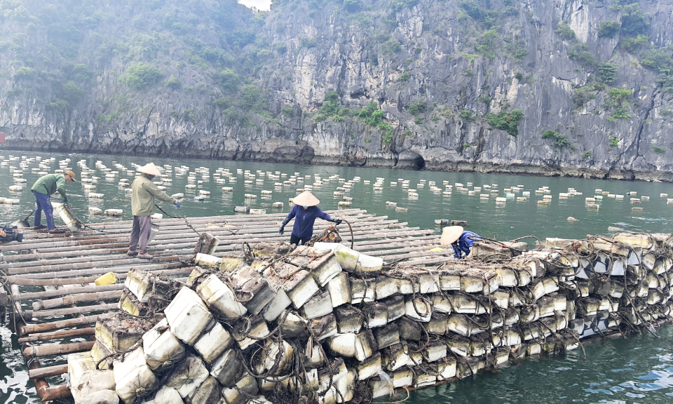Chung tay cải thiện môi trường biển để phát triển bền vững