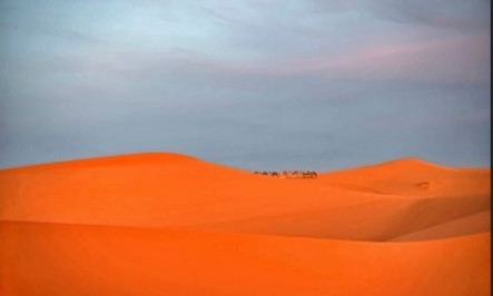 Vietnamese photographer wins five prizes in Australia's contest