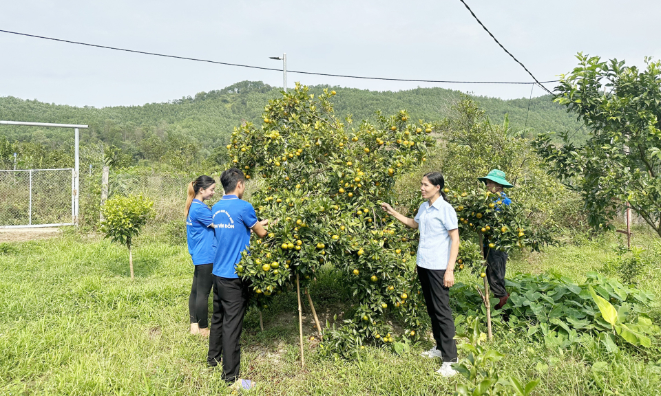 Thúc đẩy phát triển hợp tác xã