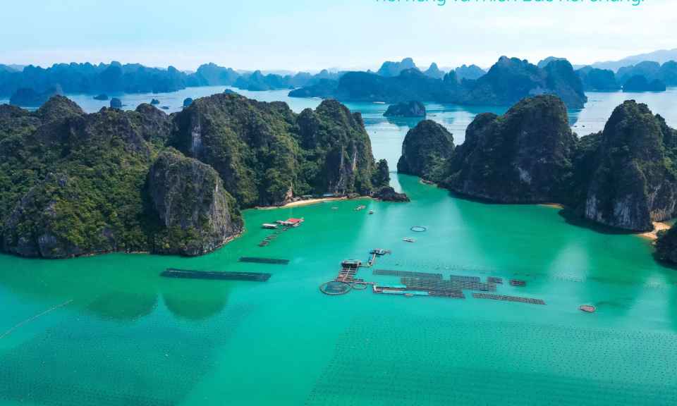 Hướng đi mới trong phát triển thủy sản