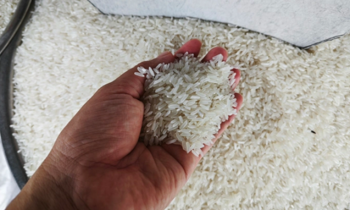 Giá gạo xuất khẩu tiếp tục tăng