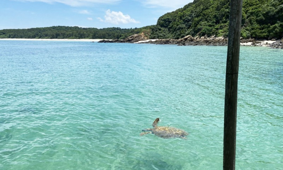 Quang Ninh improves marine environment for sustainable development