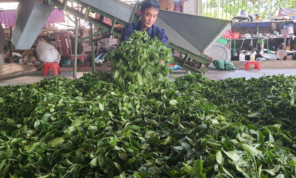 Hải Hà tập trung về đích huyện NTM nâng cao