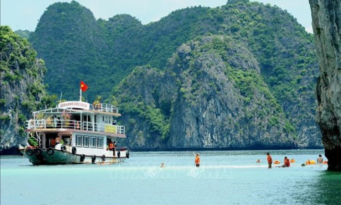 Environmental protection efforts augmented in Hạ Long Bay