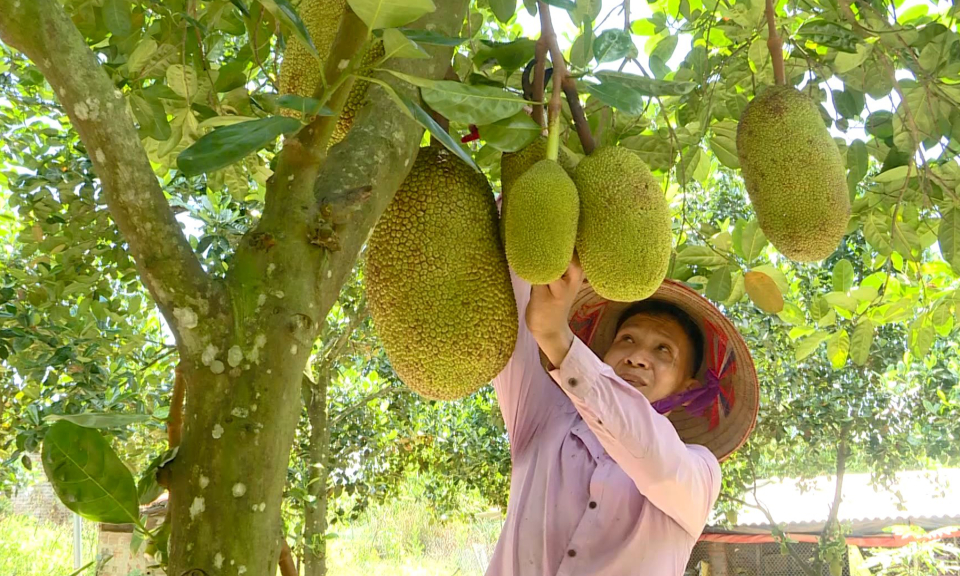 Động lực để người dân làm giàu trên quê hương