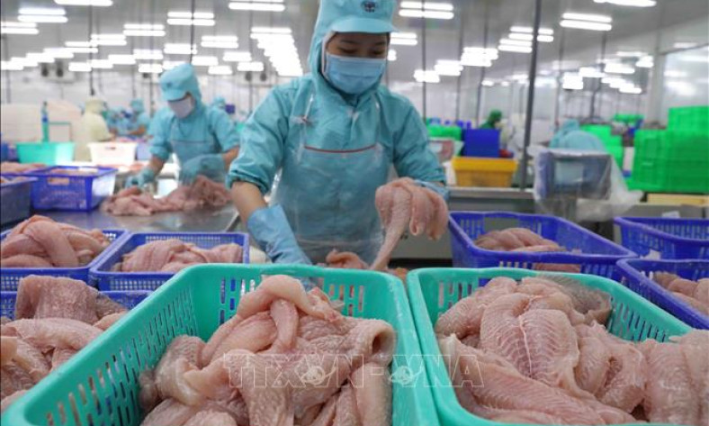 Khơi thông nguồn vốn tín dụng để hỗ trợ doanh nghiệp tận dụng hiệu quả FTA