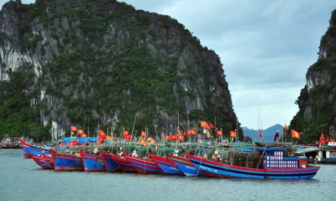 Quang Ninh works hard on fighting IUU fishing