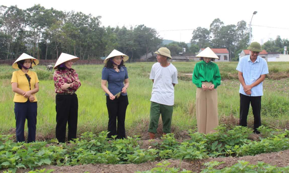 Huyện Đầm Hà: Đảm bảo an sinh xã hội, nâng cao chất lượng đời sống nhân dân